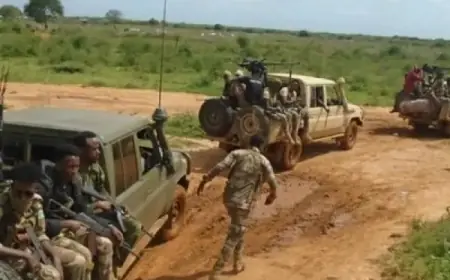 Al-Shabaab Strikes Military Base in Southern Somalia