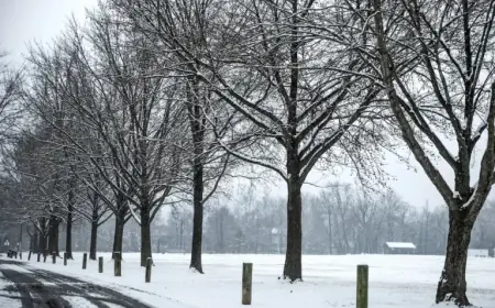 Pennsylvania Weather Forecast: Weekend Snow Amount Predictions