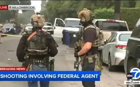 Federal Agent Shoots in Willowbrook, Triggering Major Law Enforcement Response