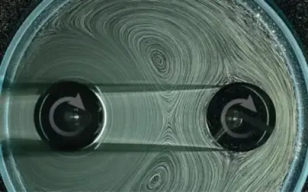 “Blue Dominates the MTG Arena Zone”