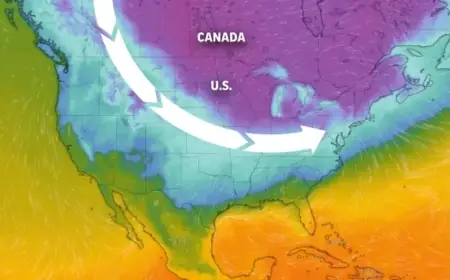 Polar Vortex to Plunge South, East States into Frigid Temperatures: See Maps