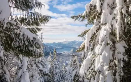 CEC Draw: Express Entry Cut-off Score Hits New Low with Thousands Invited