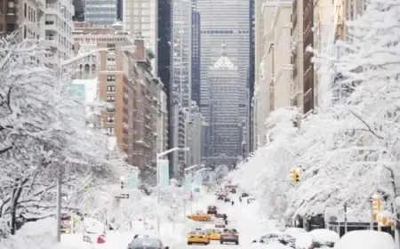NYC Brace for Winter Storm: Up to 1 Foot of Snow Predicted