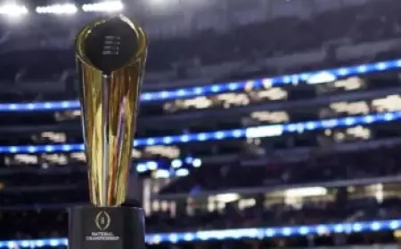 Landslide at Mount Maunganui Sweeps Away Caravans and Vehicles