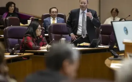 City Council Bans Hemp THC Products, Allows Beverages and Ointments