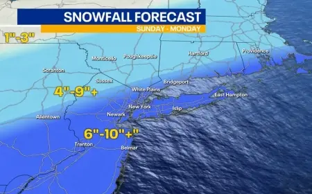 Snow Storm NYC Forecast: How Many Inches on Sunday, What to Expect Today, and the Latest for Buffalo, Syracuse, and WNY School Closings