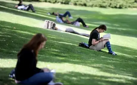 CU Boulder Explores Growth of Online Undergraduate Classes