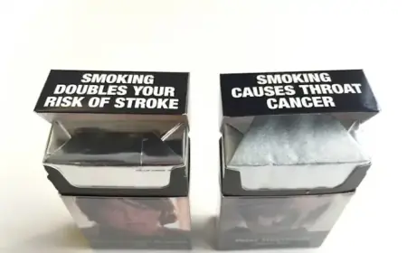 Tobacconists Reject Cigarettes Victoria Licensing Amid Impending Crackdown