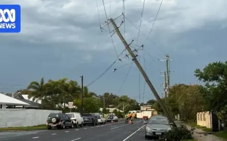 Are Smart Grids the Solution to Increasing Storm-Induced Blackouts?