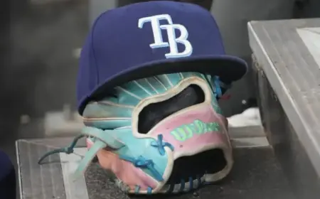 Rays Reveal Exciting New Stadium Plans