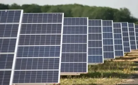 Free Solar Panels, Heat Pumps Offered to Households Earning Under £35,000