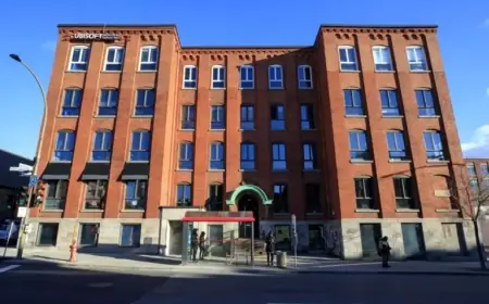 Ubisoft Continues Reorganization with $800 Million Cost Reduction Plan