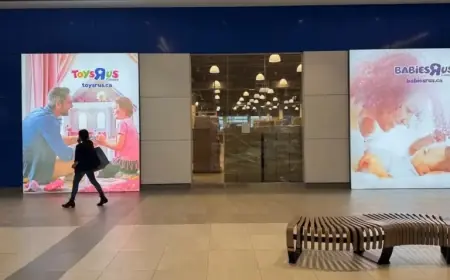 Toys “R” Us Faces Closures as Landlords Demand Unpaid Rent