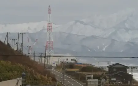 Japan Shuts Down Restarted Nuclear Plant Due to Malfunction