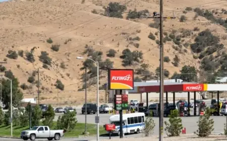 Man Deported to Avoid Trial in Largest U.S. Jewelry Heist