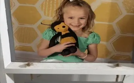 Amber Alert Resolved: Missing Child Safely Located Wednesday Night