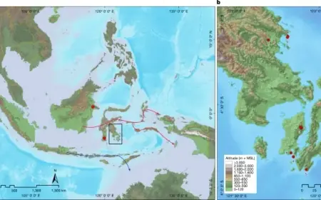 Ancient Sulawesi Rock Art Dates Back 67,800 Years