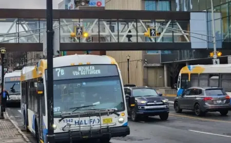 New Data Ranks Halifax Traffic Among Canada’s Worst