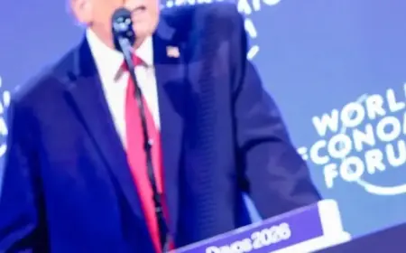 Opinion | President Unravels on the Magic Mountain