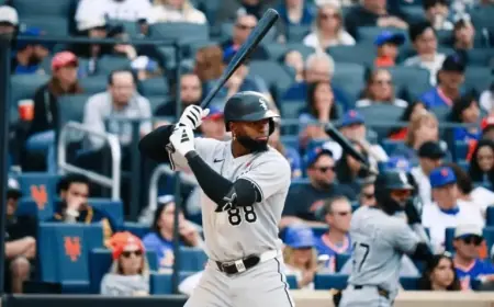 Robert Jr. Joins Lineup, Team Solidifies