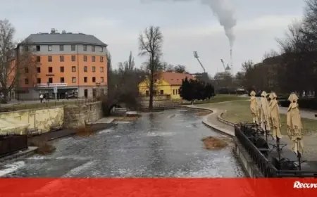 FC Porto Faces Frozen River and Heated Field in Plzen Cold Snap