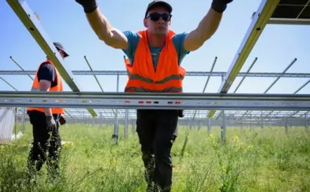 Research Reveals Renewables Overtake Fossil Fuels in EU Electricity Market