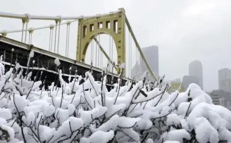 Pittsburgh Braces for 8-12 Inches of Snow This Weekend