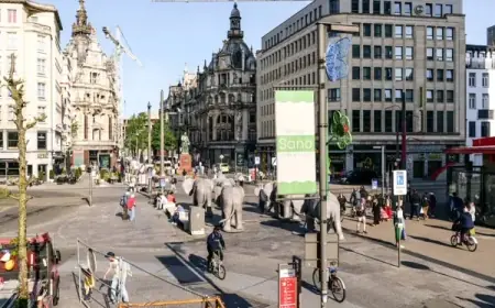 Two Suspects Arrested After Six Stabbed at Antwerp Protest