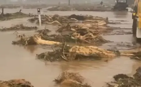 Mother Shelters Kids on Roof as Floodwaters Ravage East Coast Home