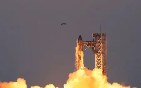 SpaceX Enlists Major Wall Street Banks for 2026 IPO, Source Reveals