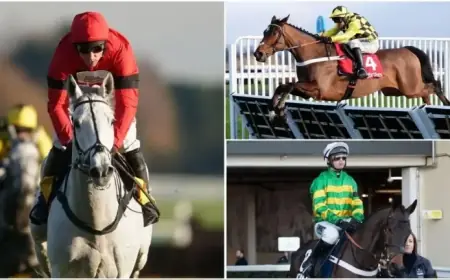 Expert Panel Shares Winning Tips for Cheltenham Festival Trials Day