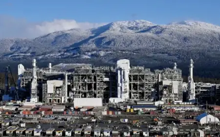 RBC Strategist Predicts Surge in Natural Gas Prices