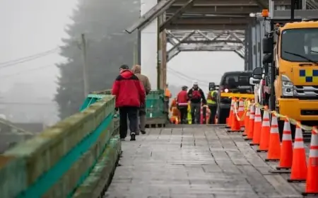 Marine Vessel Collision Shuts Down Westham Island Bridge in Delta, B.C.