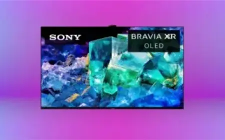 Top Global Equity Funds Bought and Sold in 2025