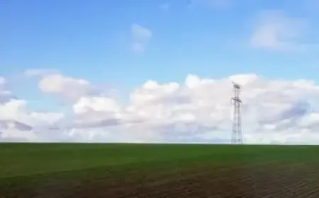 Top European Equity Funds Bought and Sold in 2025