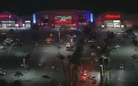 Deputy-Involved Shooting at West Hills Michaels Store Leaves One Dead