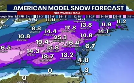Sunday Snow Forecast: Latest Model Predictions Revealed