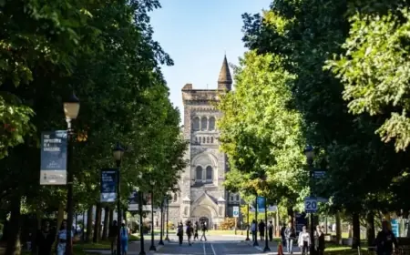 Canada Sees 97% Drop in International Student Arrivals Over Two Years