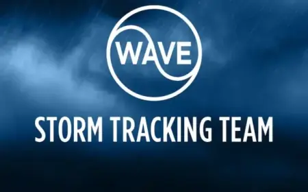 Predicting the Calm Before the Storm: What to Expect