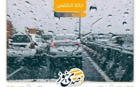 Partly Cloudy Skies with Increasing Temperatures Forecast