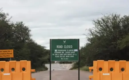 Kruger Park Faces Years of Restoration After Flood Damage in South Africa