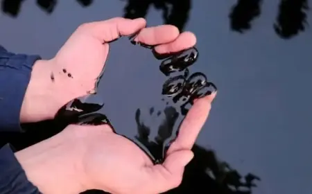 US and Kazakhstan Energy Ministries Strengthen Cooperation Talks