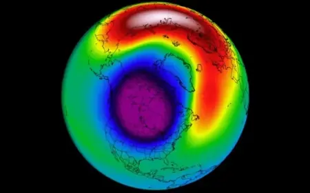 Polar Vortex Alert: Major Stratospheric Shift Predicted for Early February