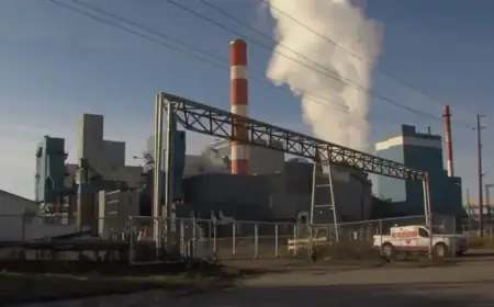 Thunder Bay Pulp and Paper Halts Newsprint Production, Cuts 150 Jobs