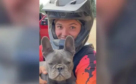 Autopsy Shows Dingoes Unlikely Culprits in Canadian’s Death on Australian Beach