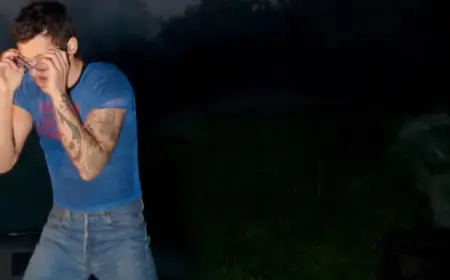 Harry Styles Unveils 30-Show MSG Residency with Jamie xx, Plus Global Tour with Robyn