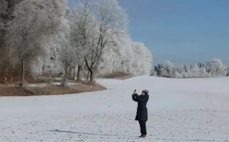 Discover Winter’s Surprise: The Truth About ‘Exploding Trees’ Phenomenon