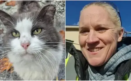 B.C. Workers Unite to Rescue Feral Cats Amid Pulp Mill Closure