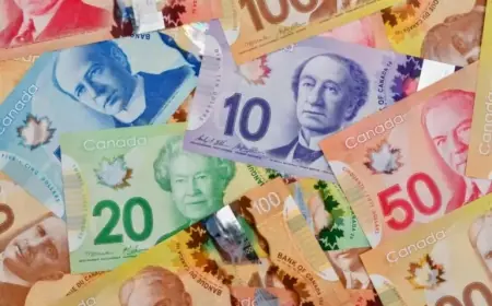 Best Canadian Stocks to Invest $10,000 in 2026