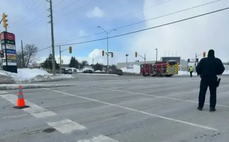 Belleville Power Outage: Downed Wire Cuts Electricity